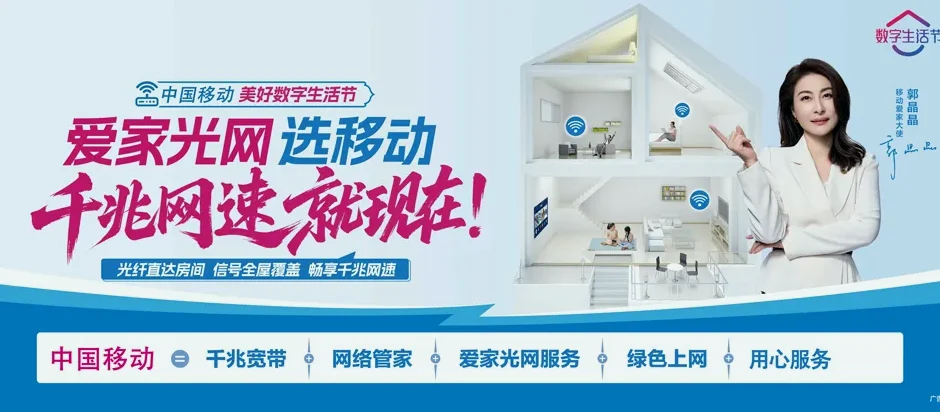 共青城市共青城市金湖乡 移动宽带